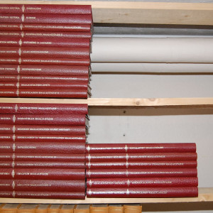 Maalaustaiteen historia 1-27